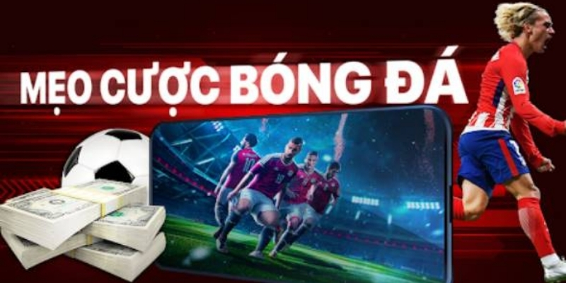 Kinh nghiệm cá cược thể thao luôn thắng tại BK8 siêu hay